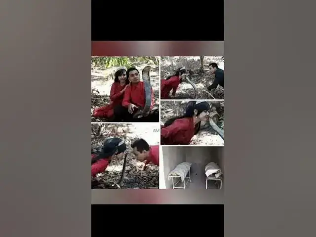 'Video thumbnail for funny memes that will make you laugh #684 || legend memes || funny relatable memes 😂 #memes #shorts'