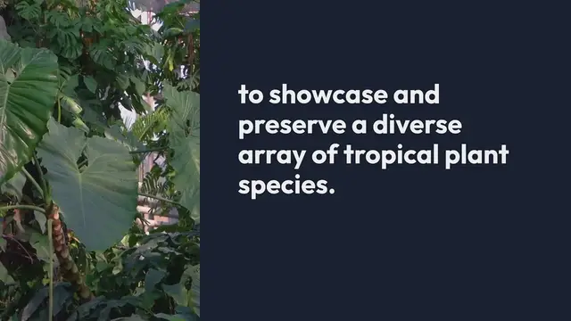 Video thumbnail for Tropical Conservatories In Botanical Gardens