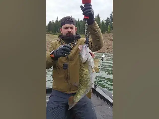 Video thumbnail for 🚨8.6-Pound Smallmouth Bass Caught and Released🔥