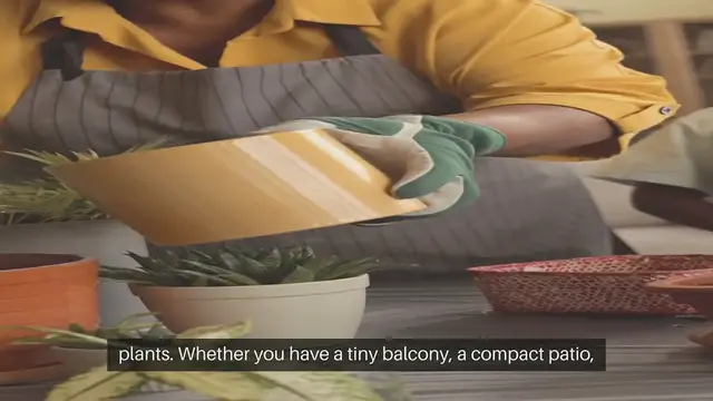 Video thumbnail for How To Grow Herbs In Your Kitchen