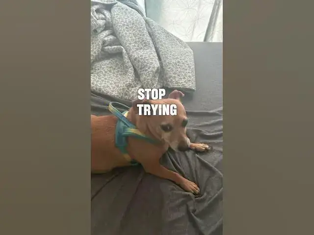 'Video thumbnail for Never give up'
