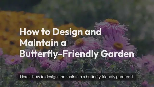 Video thumbnail for How to Make an Outdoor Butterfly Garden