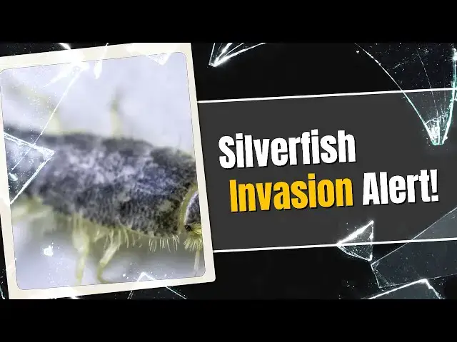 Video thumbnail for How to Deal with 10 Common Bathroom Bugs 🚿🦟 | Quick & Easy Pest Control Tips!