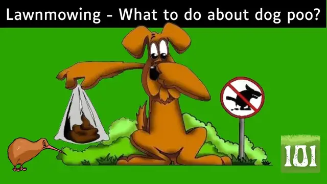 'Video thumbnail for What to do about dog poo when you are mowing a lawn?'