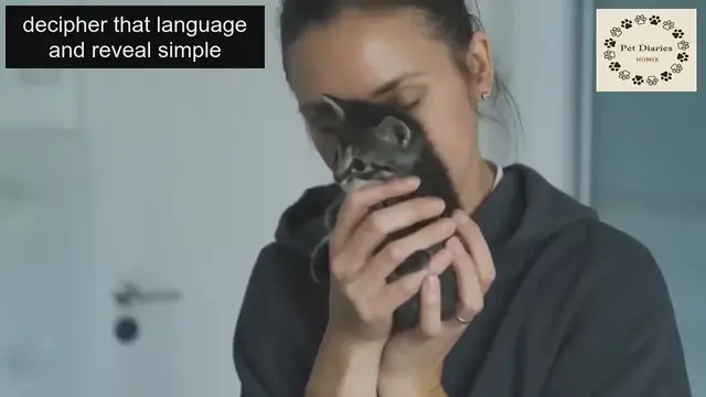 'Video thumbnail for Show Love to Your Cats JUST NOW'