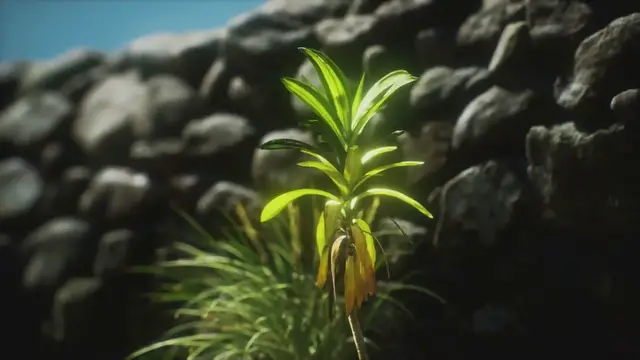 Video thumbnail for 6-Year-Old Girl Runs into Burning Home and Saves Her Family from Fire: 'Wake Up Mom'