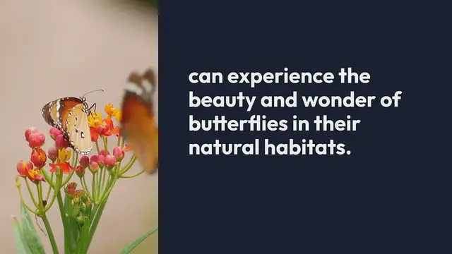 Video thumbnail for Butterfly Gardens In Botanical Gardens