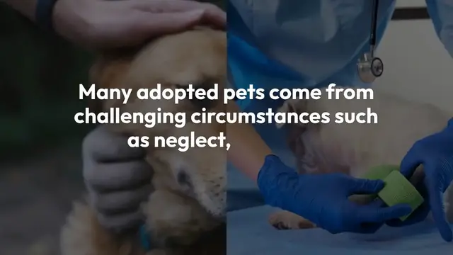 'Video thumbnail for Adopting a Pet The Gift of Love'