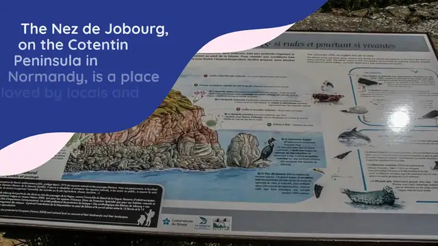 Video thumbnail for Nez de Jobourg (Normandy): tips + photos