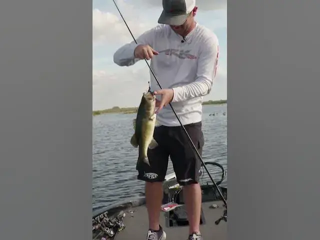 Video thumbnail for This bass had good lookin’ WHAT?? 🤨🤣