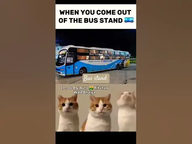 Video thumbnail for Bus station scenes #memes