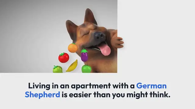 'Video thumbnail for Should my German Shepherd be required to reside in an apartment?'