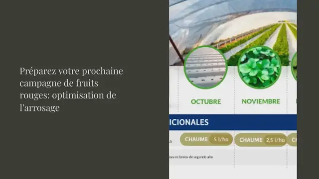 Video thumbnail for Préparez votre prochaine campagne de fruits rouges: optimisation de l’arrosage