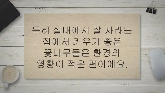 'Video thumbnail for 집에서 꽃 키우기 15가지 (물주기, 꽃말, 수경재배)'