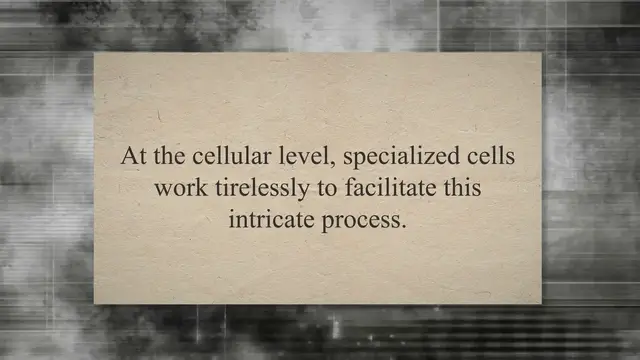 Video thumbnail for Structure and Function of Cells in the Human Excretory System