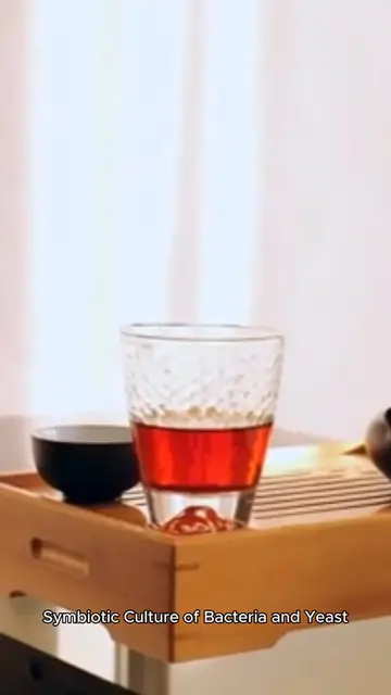 Video thumbnail for kombucha recipe