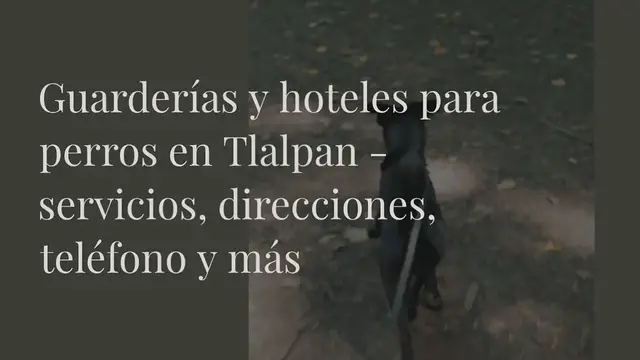 Video thumbnail for Guarderías y hoteles para perros en Tlalpan - servicios, direcciones, teléfono y más