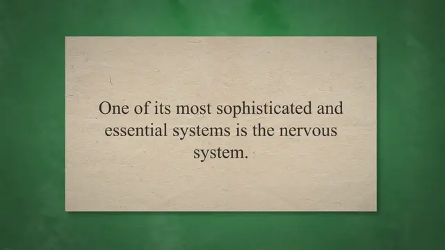 Video thumbnail for The Nervous System