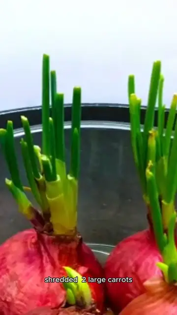 Video thumbnail for best coleslaw recipe