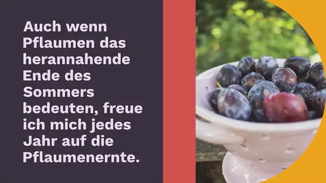 Video thumbnail for Pflaumenkuchen vom Blech mit Hefeteig (low carb, glutenfrei)