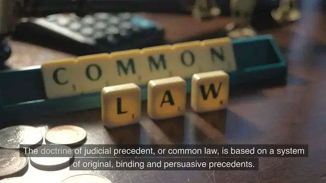 Video thumbnail for Original, binding and persuasive precedents www.e-lawresources.co.uk