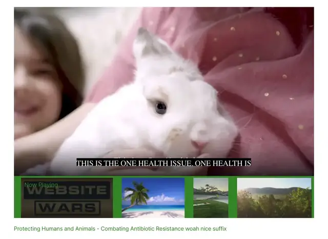 Video thumbnail for title test