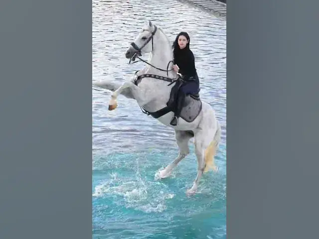 'Video thumbnail for GO FURTHER AND SEE BRIGHTER LIGHT #xinjiang #shorts'