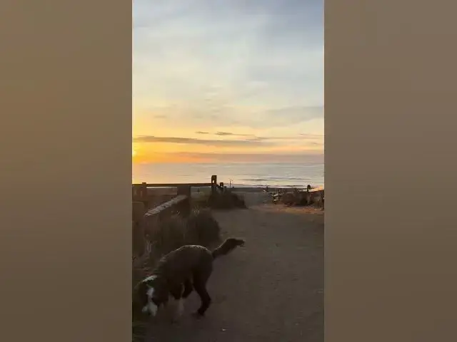 Video thumbnail for Good Morning from Bay Head!