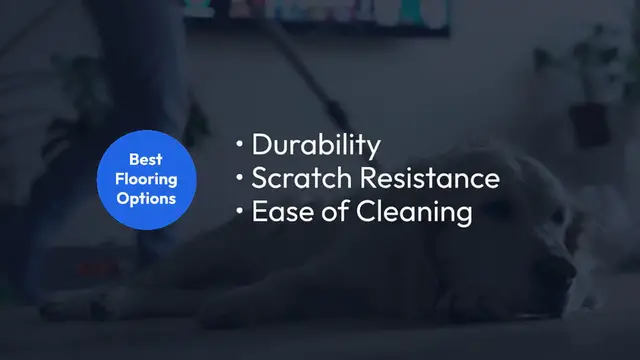 Video thumbnail for Best Flooring for Pets