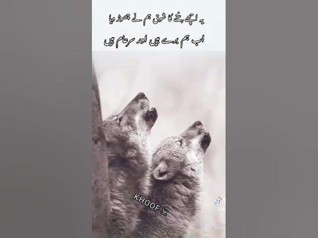 Video thumbnail for August 22, 2025