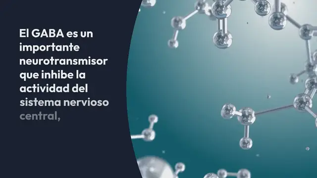 Video thumbnail for Ácido gamma-aminobutírico (GABA)