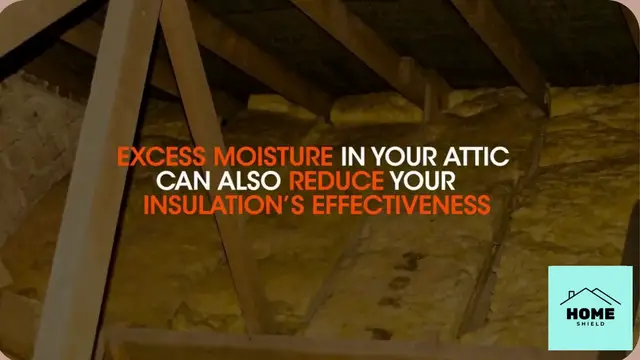 'Video thumbnail for Roofing Hazard Alerts – Damaged Shingles'