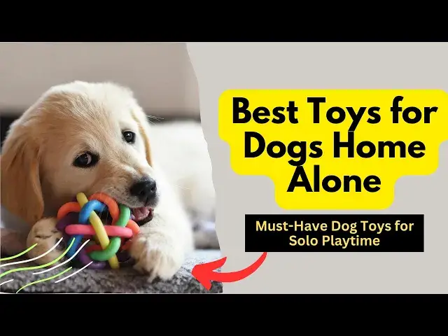 Video thumbnail for Best Toys for Dogs Home Alone: Doggy Daycare at Home