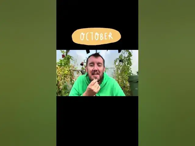 'Video thumbnail for ✅ Happy 1st of October 🍂🌱 | Kickstarting a New Month in the Garden & Allotment'
