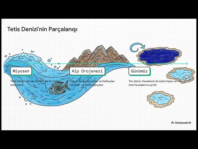 Video thumbnail for Türkiye Fiziki Coğrafyası 2024-2025 Vize Soruları