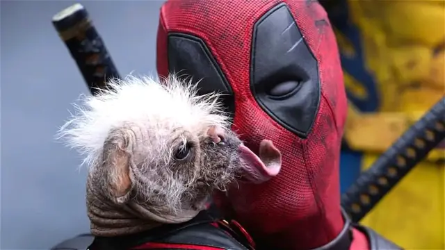 Video thumbnail for 13 Movie Doggos Ranked By How 'Good Dog' They Really Are