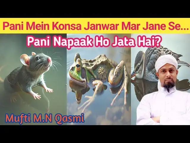 Video thumbnail for Pani Mein Konsa Janwar Mar Jane Se Pani Napaak Ho Jata Hai? pak Napak Masala by Mufti M.N Qasmi