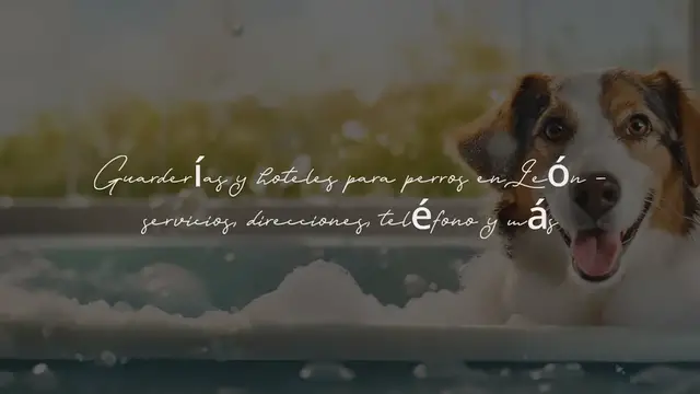 Video thumbnail for Guarderías y hoteles para perros en León - servicios, direcciones, teléfono y más