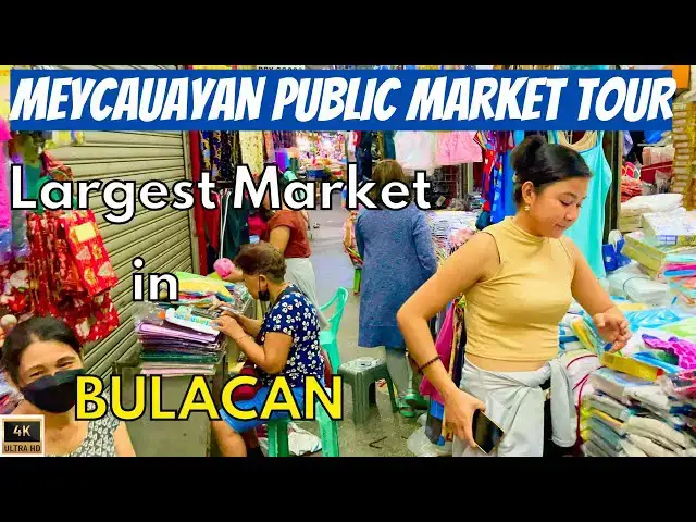 'Video thumbnail for MEYCAUAYAN Public Market WALKING TOUR PHILIPPINES | BULACAN [4K] WET MARKET with Fresh Foods'