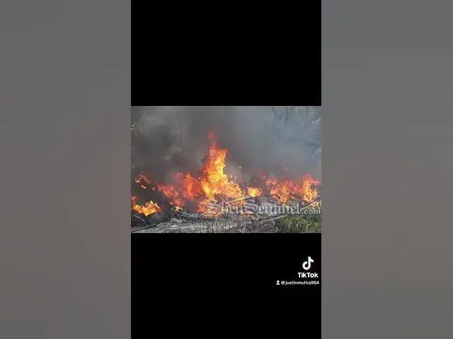 Video thumbnail for Fire calls