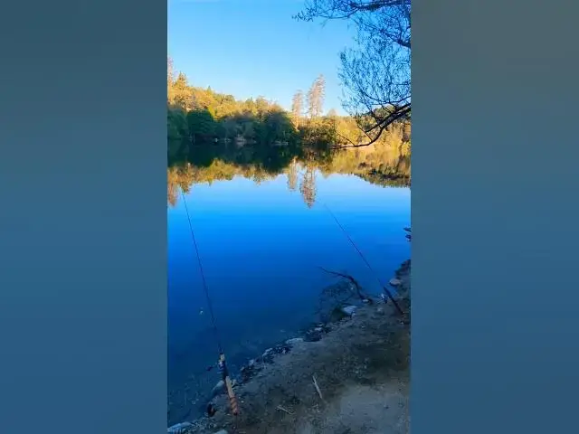 Video thumbnail for Early Mornin Trout Fishin Trip 🎣