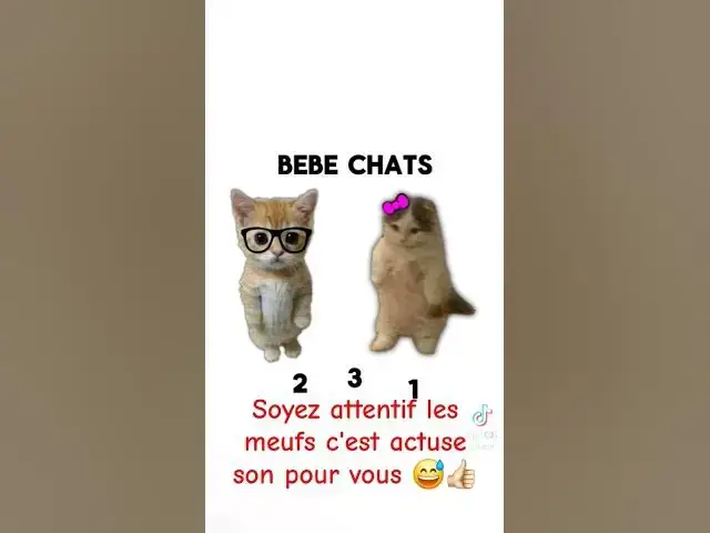 'Video thumbnail for #chat #humour #drole #abonnetoi #blague actuse pour les meufs'