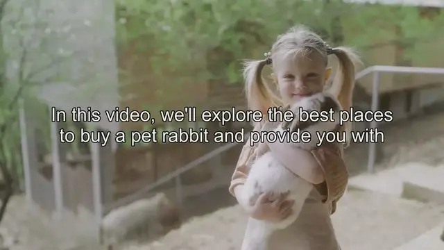 Video thumbnail for Top Places to Find Pet Rabbits for Sale