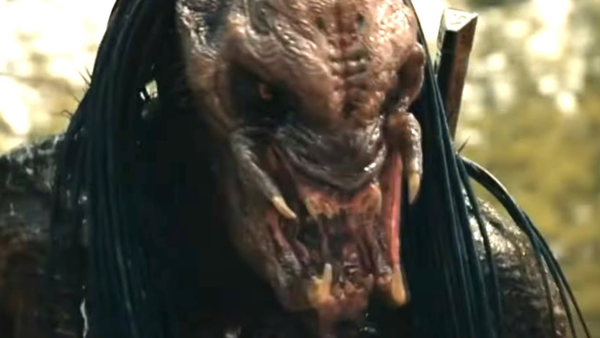 Video thumbnail for Why Predators Are Obsessed With Hunting Humans