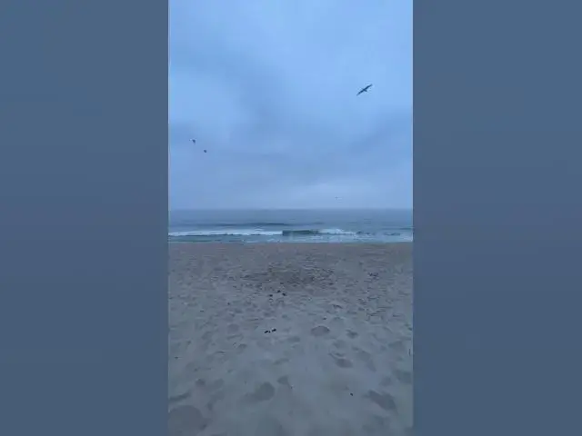 Video thumbnail for Bay Head and Mantoloking Beach Update - September 8, 2023
