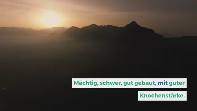 Video thumbnail for Rekordsumme bei Hunde-Auktion: So viel kostet der teuerste Hund der Welt