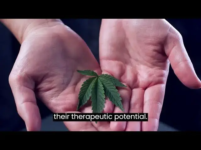 Video thumbnail for The Ancient Roots of Cannabis: A Journey Through Time. #HealingWithHemp #HempInnovation