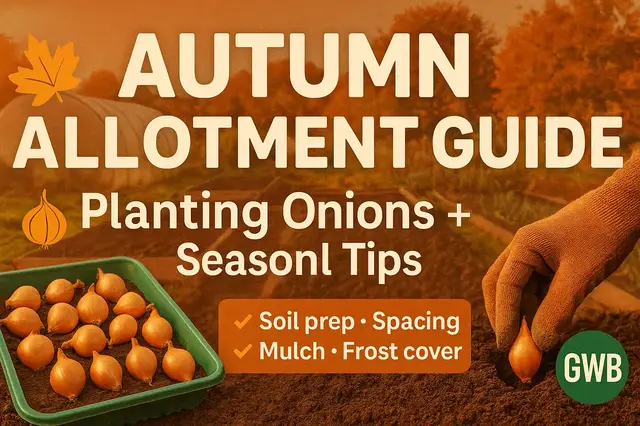 'Video thumbnail for Autumn Allotment Guide | Planting Onions and More Seasonal Tips'