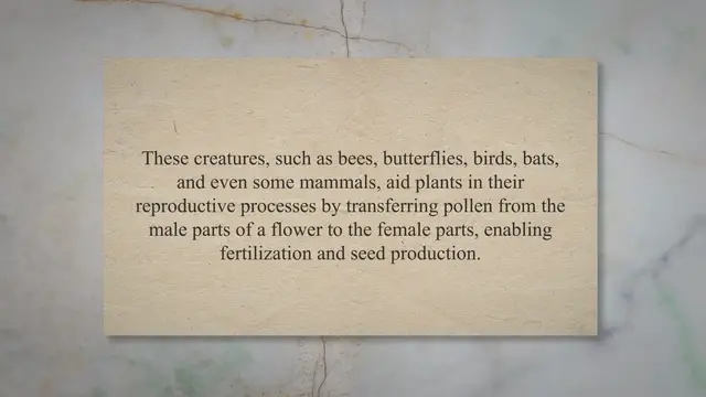 Video thumbnail for Importance of pollinators in plant reproduction