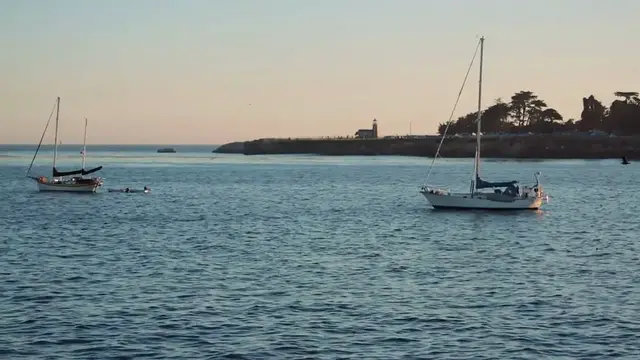 Video thumbnail for Matt Gaetz Reacts to Santa Cruz Wharf Collapse What Happens Next